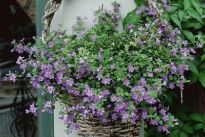 imagens jigsaw puzzle