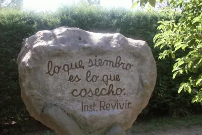 Aquello que siembres... jigsaw puzzle