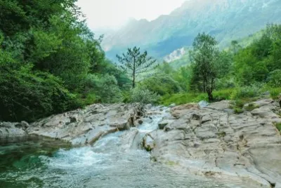 Vedronzassa jigsaw puzzle