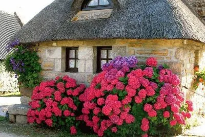 cottages jigsaw puzzle