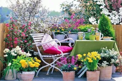 terraza con flores