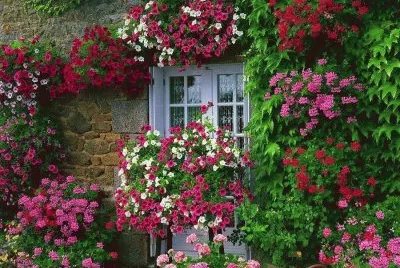 Cottage jigsaw puzzle