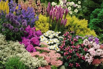 Gorgeous Perennial Garden jigsaw puzzle