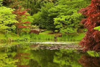 naturaleza jigsaw puzzle