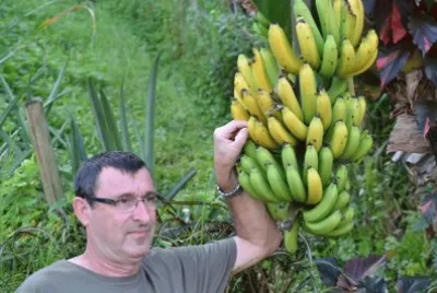 martinique