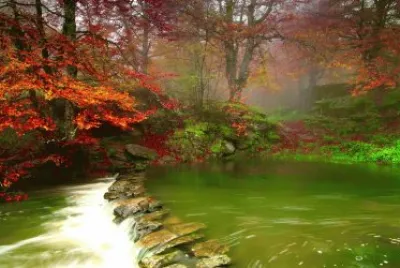 campo jigsaw puzzle