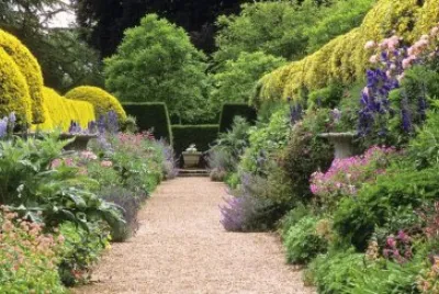 jardÃ­n jigsaw puzzle