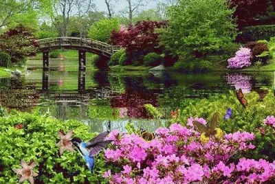 jardÃ­n jigsaw puzzle