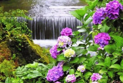 paisaje jigsaw puzzle