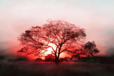 å¤•é™½