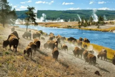 Parque Nacional Yellowstone
