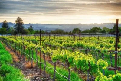 Sonoma, California