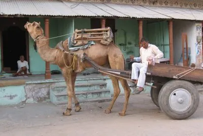 inde
