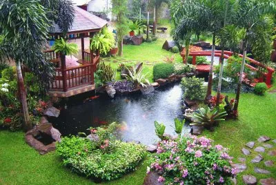 Amazing Backyard Landscaping
