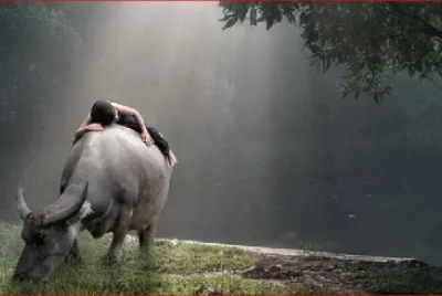 DESVELADO jigsaw puzzle