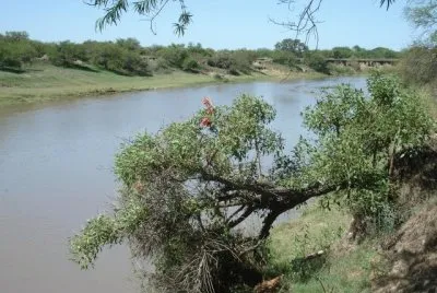 Arroyo PÃ¡jaro Blanco. Santa Fe. Argentina jigsaw puzzle