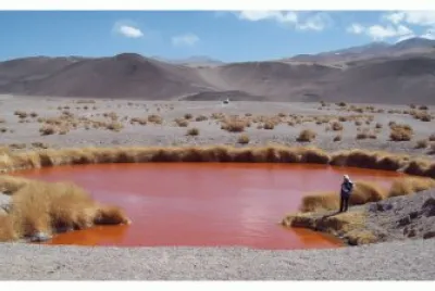 En el Salar de Antofalla. Catamarca. Argentina jigsaw puzzle