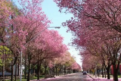 En ParanÃ¡. Entre RÃ­os. Argentina