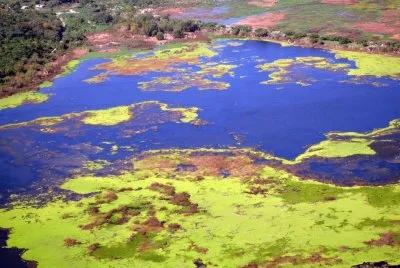 El ParanÃ¡ en la Provincia de Santa Fe. Argentina