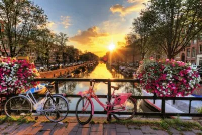 1 jigsaw puzzle
