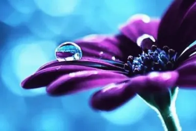 è¿·äººæ°´æ»´