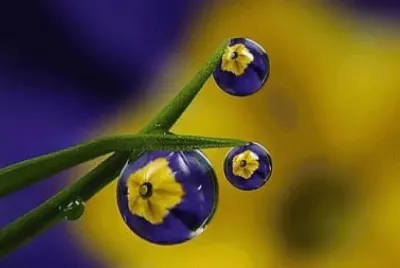 è¿·äººæ°´æ»´