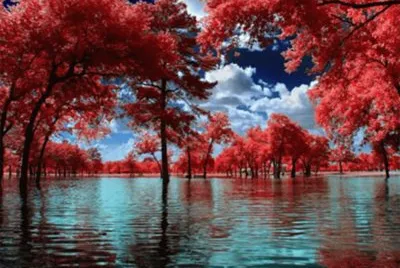 9 jigsaw puzzle