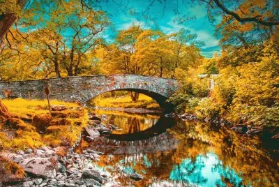 RIOS jigsaw puzzle