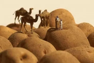 פאזל של papas