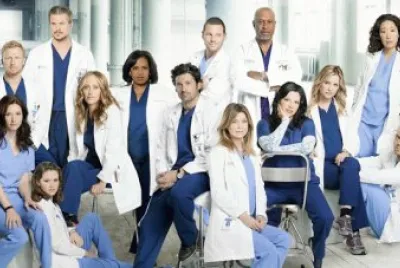 greys jigsaw puzzle