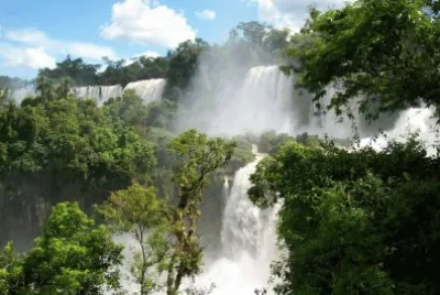 En el PN IguazÃº. Misiones. Argentina jigsaw puzzle