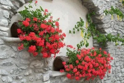 imagens jigsaw puzzle