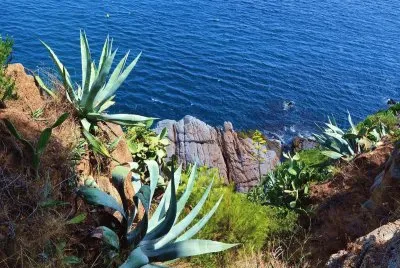 Natura jigsaw puzzle