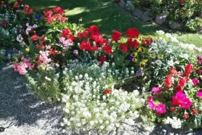 primavera en Gaiman jigsaw puzzle