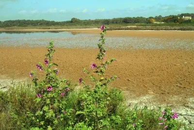 mallorca jigsaw puzzle