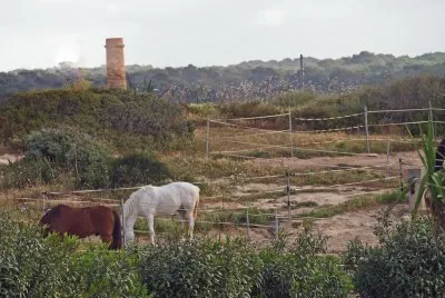 mallorca