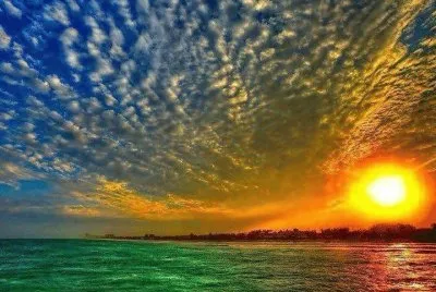 פאזל של imagens