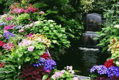 paisaje jigsaw puzzle