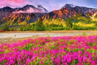 paisaje jigsaw puzzle