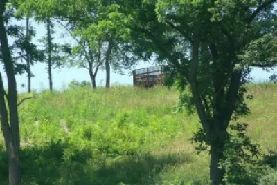 the lookout jigsaw puzzle