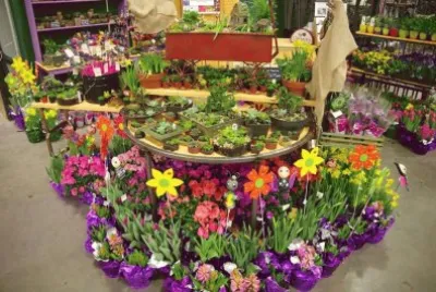 Display at Vermont Flower Show
