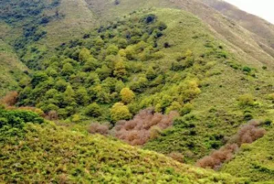 Hualinchay. TucumÃ¡n. Argentina jigsaw puzzle