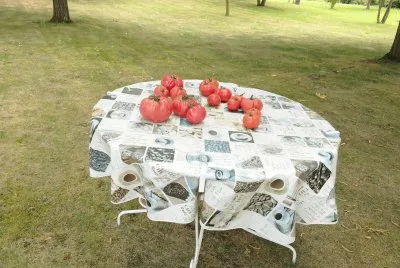 Les bonne tomates du jardin