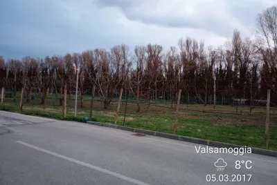 Mattina jigsaw puzzle