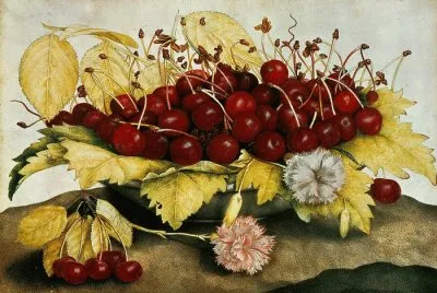 Still Life