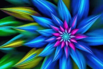 Fractal Beauty