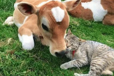 Amigos â™¥