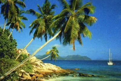 Paisatje jigsaw puzzle