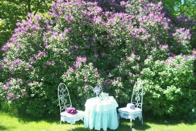 Pretty Garden Tea Setting jigsaw puzzle