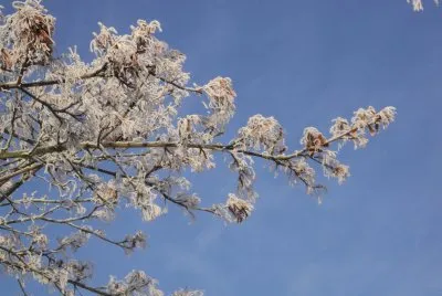 Winterday 2016 in Bremen